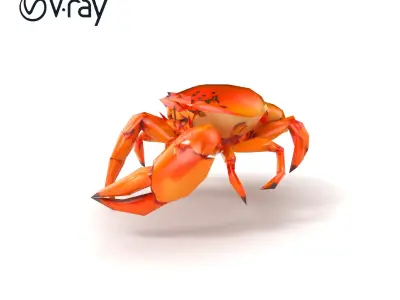 Kamchatka Crab Spiky Carapace Model Pack Low-poly 3D model