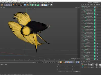  Betta Fish Aquarium Pet Rigged for Cinema 4D 