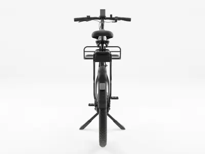3D Model of Cargobike Delivery Low-poly 3D model