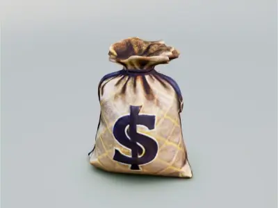 Bag with money 3D model