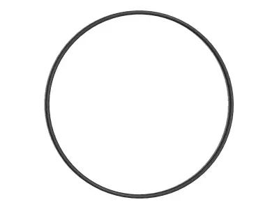 O Ring Vedabras 12607 3D model