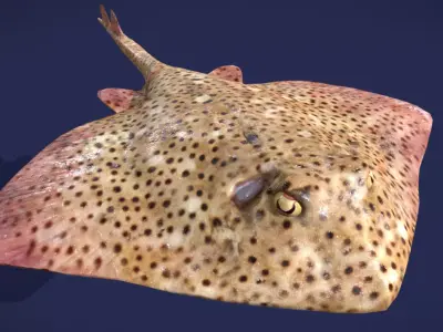 Skate Fish Low-poly 3D model