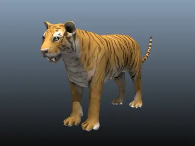 Tiger Low-poly 3D model get