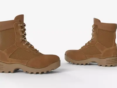 Military-Style Boots in Brown Color 3D model