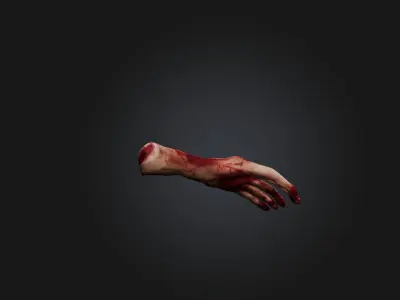 Bloodly Body part Low-poly 3D model