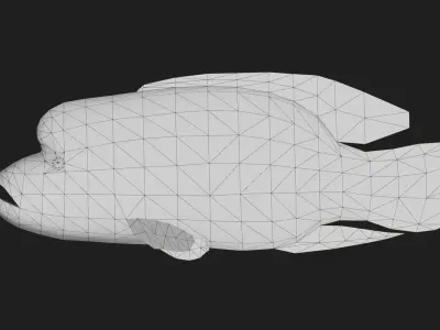 Wrasse Low-poly 3D model 4