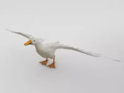 Duck Bird Low-poly 3D model purchase