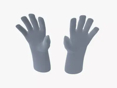 Insulated Gloves 3D model