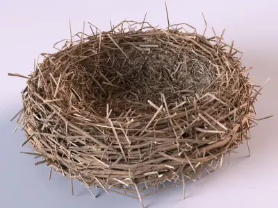 Bird Nest 3D model 2