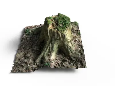 Forest Tree Stump 4K -Part 9- Free low-poly 3D model