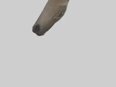 Sparrow Beak 3D model