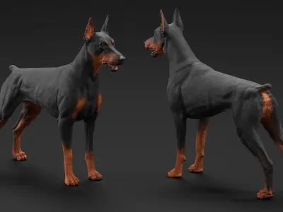 Doberman Pinscher Dog 3D model