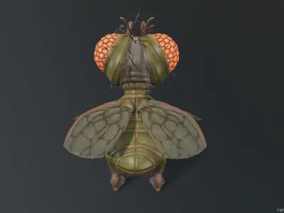Cartoon fly Low-poly 3D model