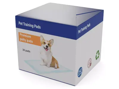 Pet accessories Pet Training Pads Low-poly 3D model buy