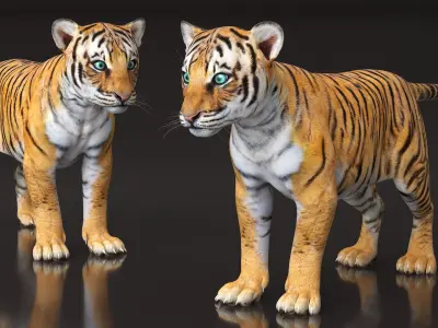 Tiger Cub 3D model