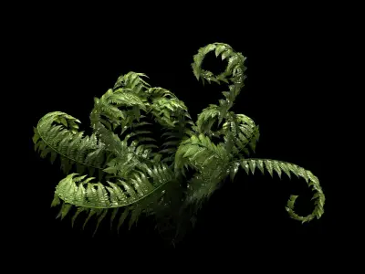 Fern ecosystems Pack 24 3D model