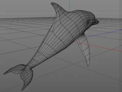 Dolphin Low-poly 3D model order