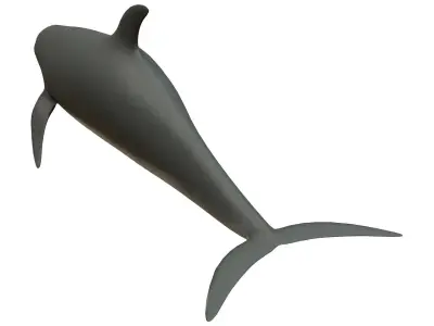 dolphin Low-poly 3D model 4