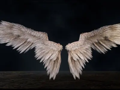 Angel Wings Low-poly 3D model purchase