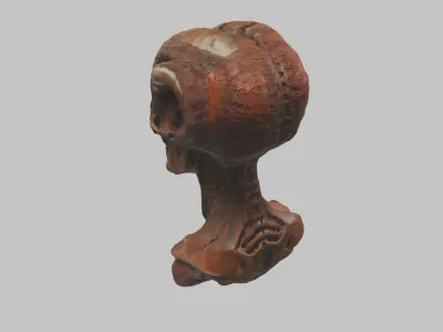 DEad SKull HR Giger Creature Scifi Head Bust Low-poly 3D model