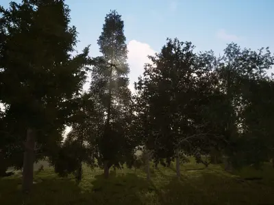 Very realistic 3d Trees collection for Twinmotion 2019 part 1 Low-poly 3D model