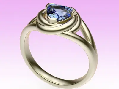 Ring Trillion 3D print model