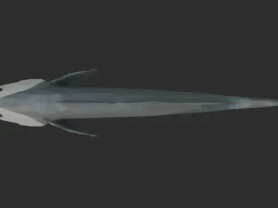 Low Poly Black Jewfish Low-poly 3D model