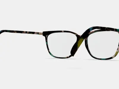 Esme Eyeglasses in Aventurine Tortoise with Polished Gold 3D model