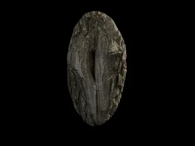 Anydrafts Salix matsudana Burl 10 Low-poly 3D model