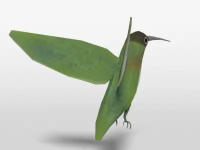 Low Poly Cartoon Hummingbird Low-poly 3D model