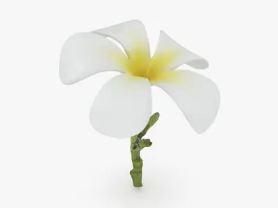 Flower - 3D Scanned Collection 3D model