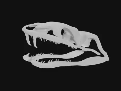 Snake skull 3D model