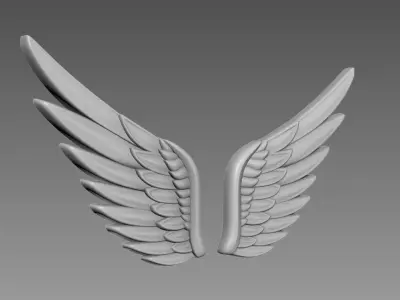 Wings relief 3D model buy