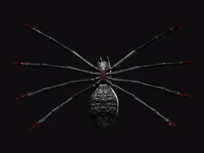 Spider Low-poly 3D model 6