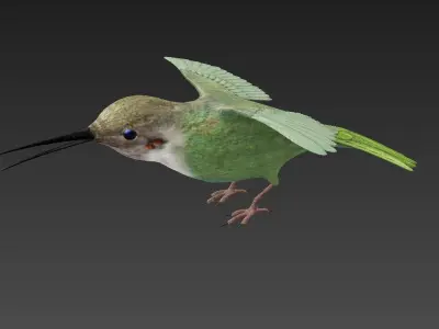 Trochilidae hummingbird Low-poly 3D model