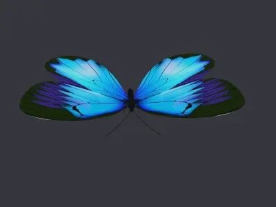 Blue Butterfly Free low-poly 3D model
