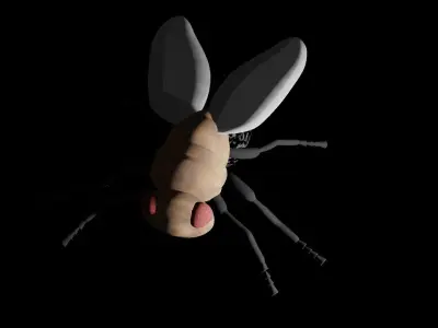 Fly Insect 3D model
