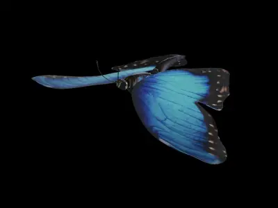 Butterfly 3D model Low-poly 3D model