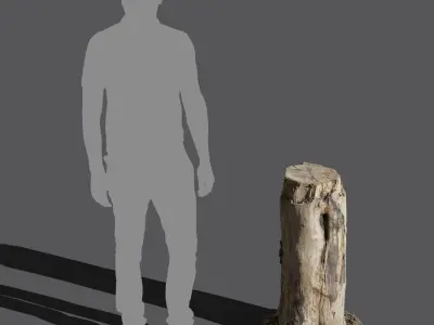  Medium Cut Bare Stump Model 