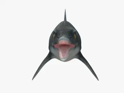 8K Realistic Ichthyosaurus Low-poly 3D model