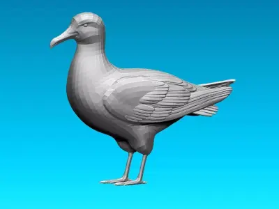 Seagull 3D model purchase