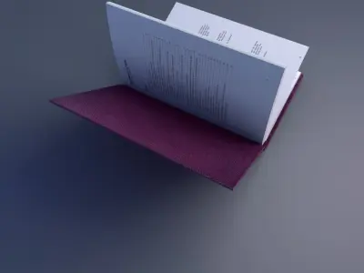  Rigged book Template 