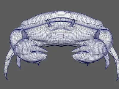 Crab Model Free low-poly 3D model