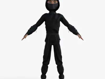 Ninja Rigged 3D model