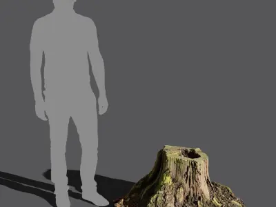  Short Cut Decaying Hollow Stump Model 