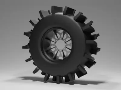 Paddy Tire and Rim 1 3D model