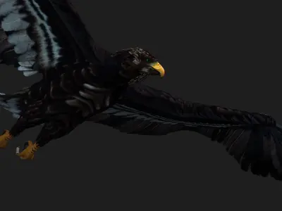 Eagle A3 3D model