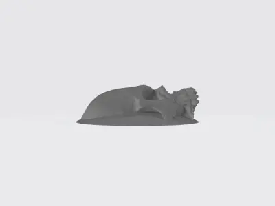 center-cap-skull skull Free 3D model