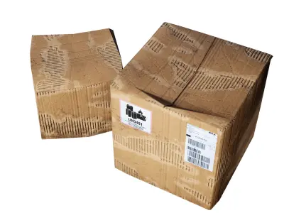 cardboard Box Low-poly 3D model buy