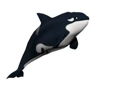 Killer whale Low-poly 3D model buy